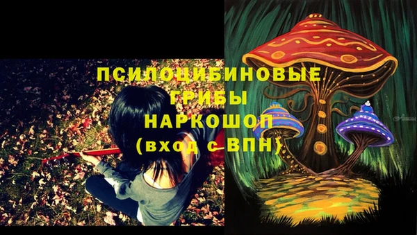 мяу мяу мука Белокуриха