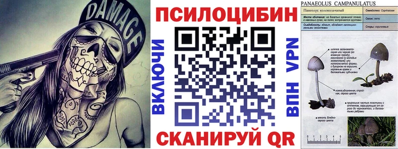 Псилоцибиновые грибы ЛСД  где найти наркотики  Котлас 