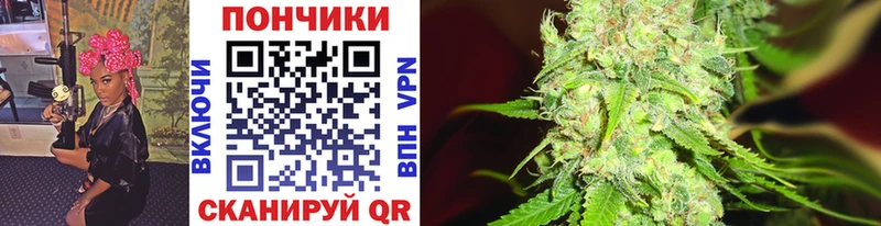 Канабис SATIVA & INDICA Котлас